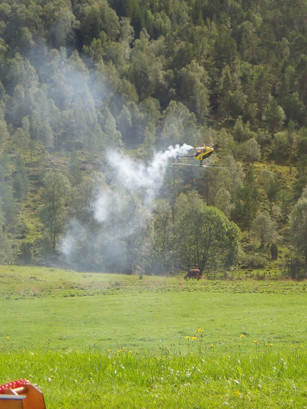 steindalen 09.08.2009 011.jpg