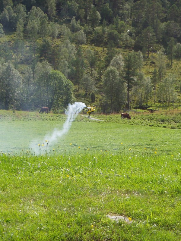 steindalen 09.08.2009 012.jpg